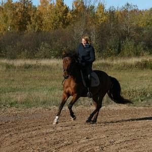 Meet your Posher, Jill